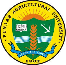 Punjab Agricultural University Non-Teaching Previous Papers